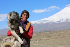 Hirte und Hund, Ararat TR