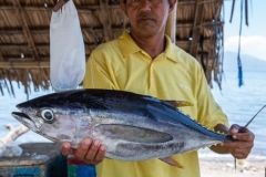 Thunfisch, Nangahale, Flores