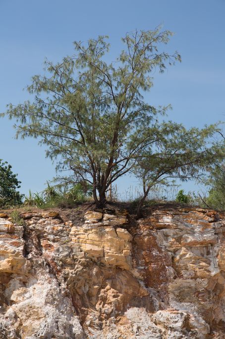 Red Cliffs, Darwin AUS