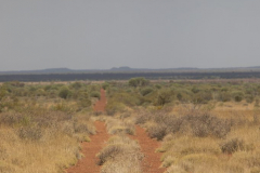Wüstentripp Wiluna - Uluru WA/NT