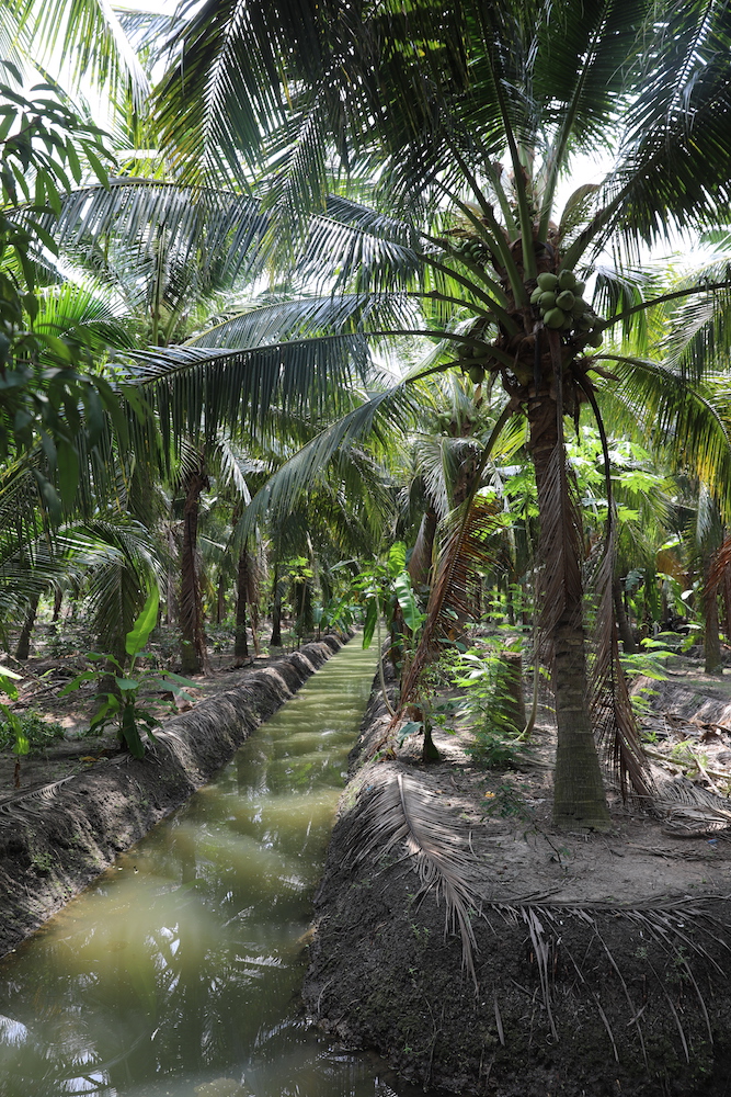 Cocos Plantage, Samut Songkhram T