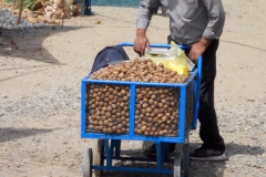 Walnussverkäufer, Markt, Marzan Abad IR