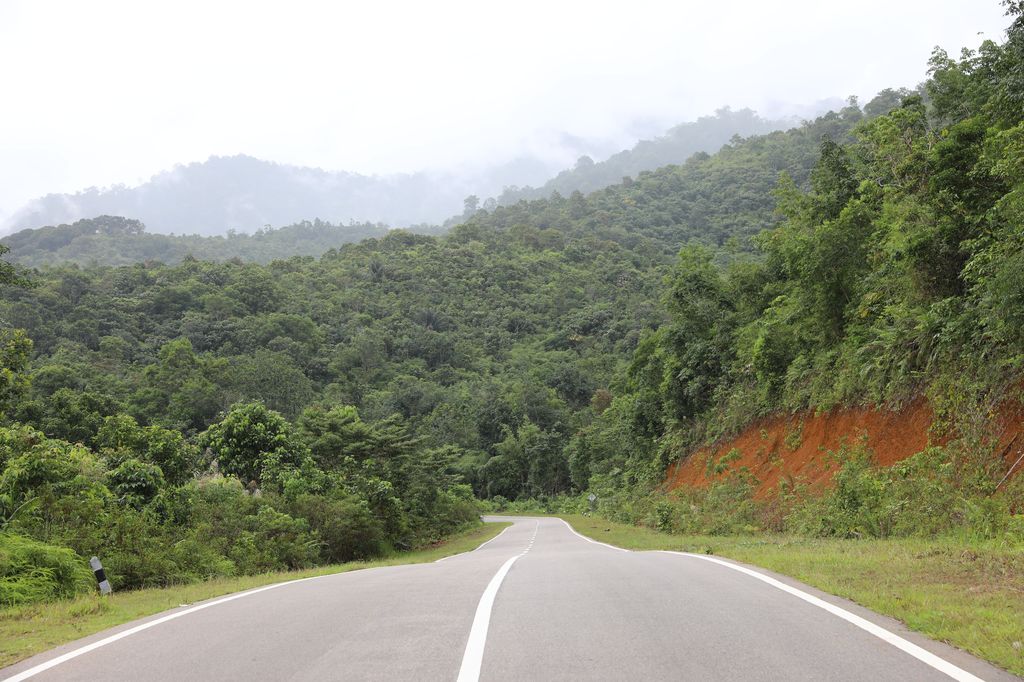 On the road, Kalimantan Tengah, IDN