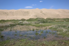 Wasser und Sand, Gobi MGL