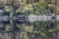 Spiegelung Lake Matheson, NZ