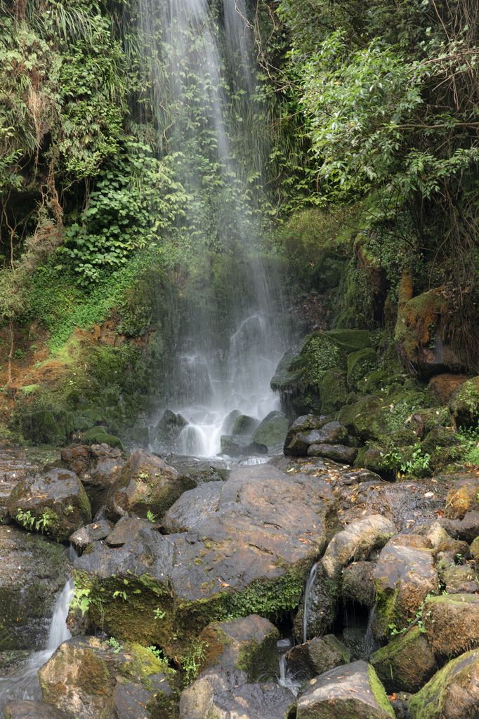 Viviane Falls, NZ