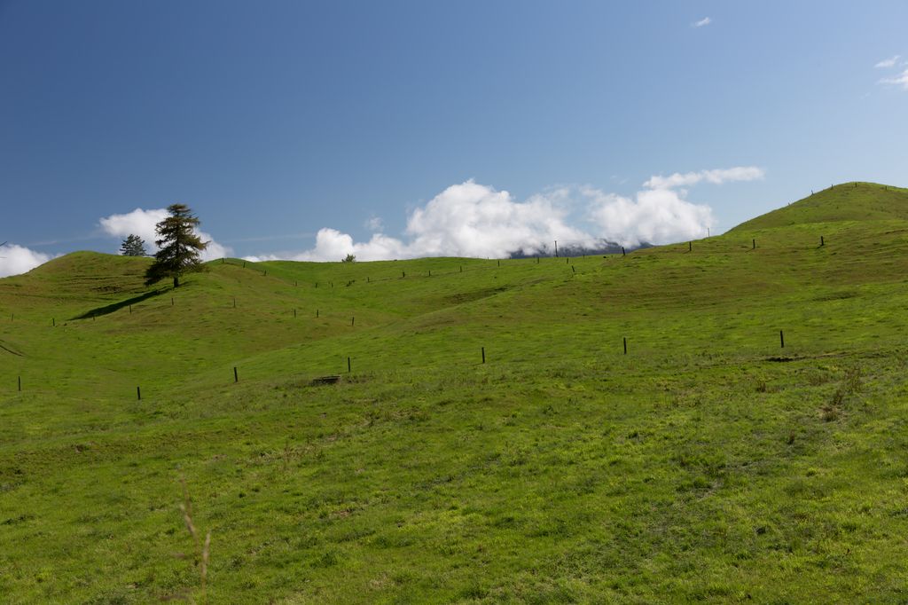 Rotorua NZ