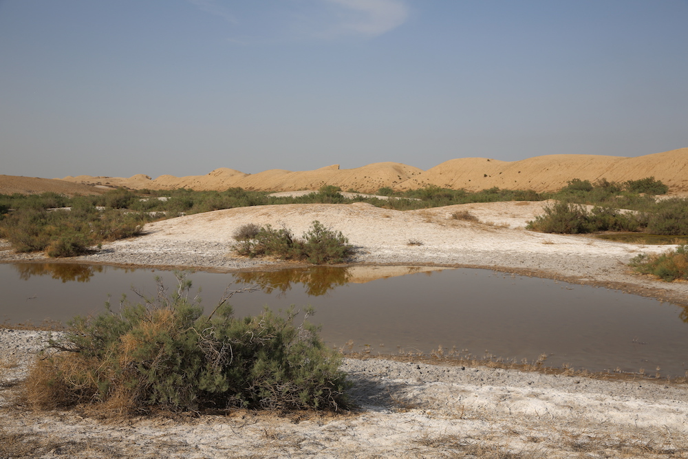 Wasser, Wüste, Merv TM