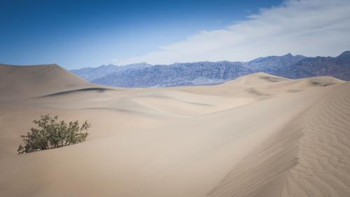 00025 -Dünen Death Valley