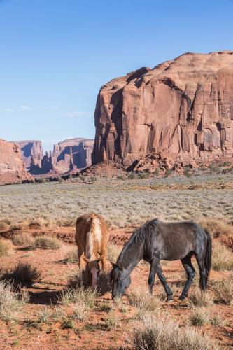 00029-Monument Valley